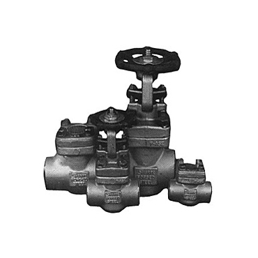 Forged Steel Valves